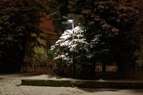 Baum mit Straßenlaterne im Schnee